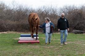 LR-WRF 0402026 Retreat-3534